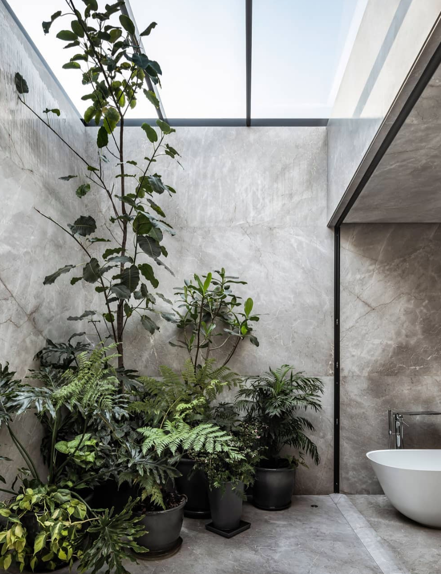 Casa Sierra Fría  por Esrawe Studio