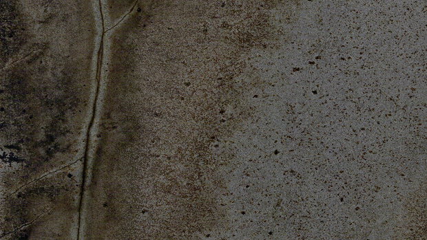 Brazilian Fossil - Grupo Arca