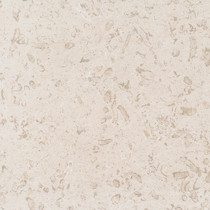 Porcelanato - Land of Italy Shell White Classic - Arca – Grupo Arca